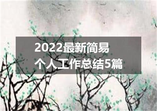 2022最新简易个人工作总结5篇