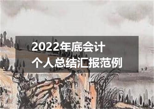 2022年底会计个人总结汇报范例