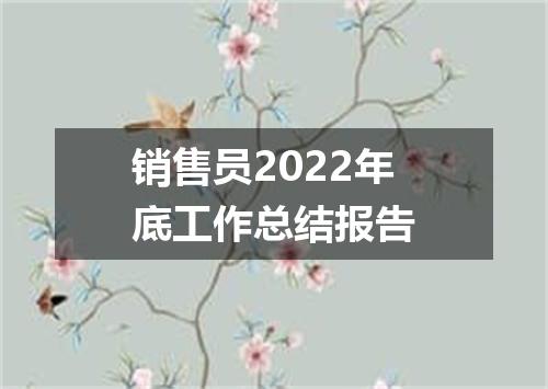 销售员2022年底工作总结报告