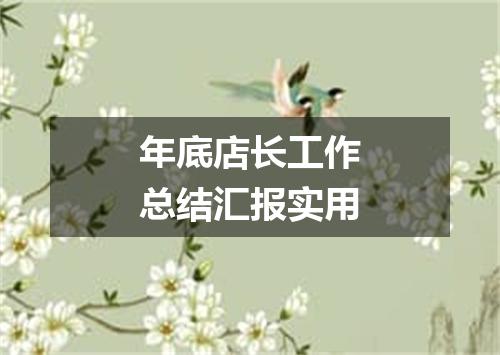 年底店长工作总结汇报实用