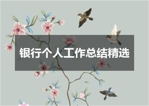 银行个人工作总结精选