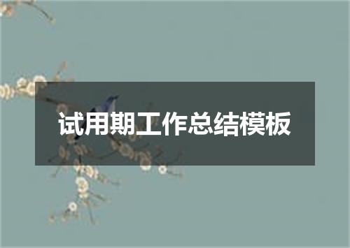 试用期工作总结模板
