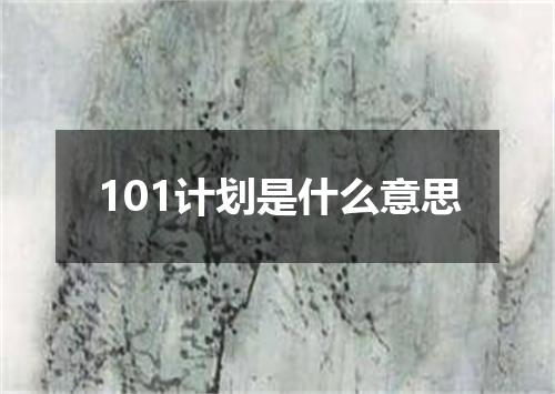 101计划是什么意思