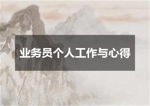 业务员个人工作与心得