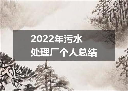 2022年污水处理厂个人总结