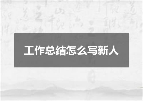 工作总结怎么写新人