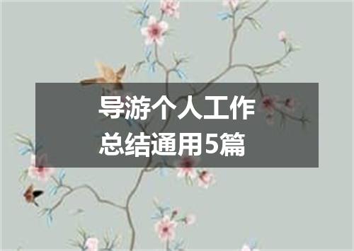 导游个人工作总结通用5篇