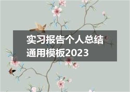 实习报告个人总结通用模板2023