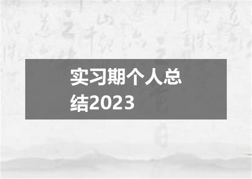 实习期个人总结2023