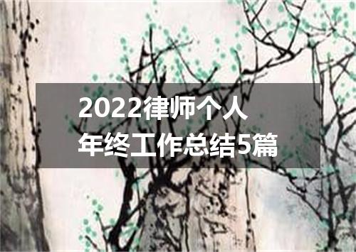 2022律师个人年终工作总结5篇