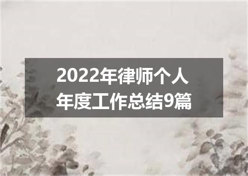 2022年律师个人年度工作总结9篇