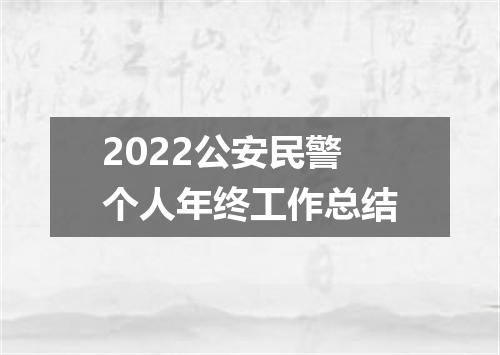 2022公安民警个人年终工作总结