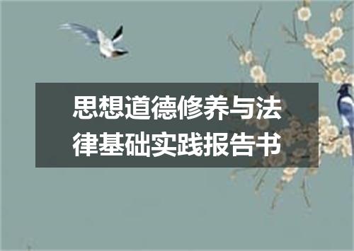 思想道德修养与法律基础实践报告书