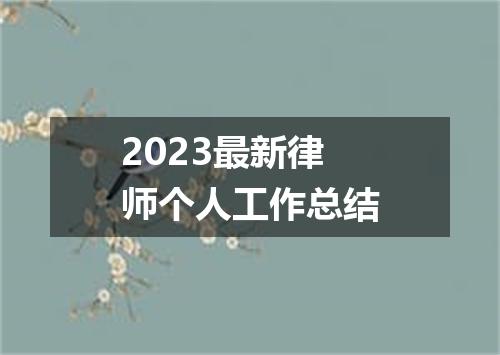 2023最新律师个人工作总结