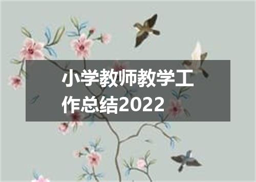 小学教师教学工作总结2022