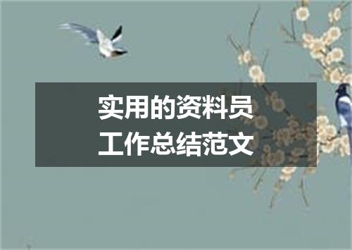 实用的资料员工作总结范文