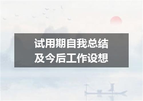 试用期自我总结及今后工作设想
