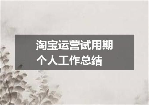 淘宝运营试用期个人工作总结