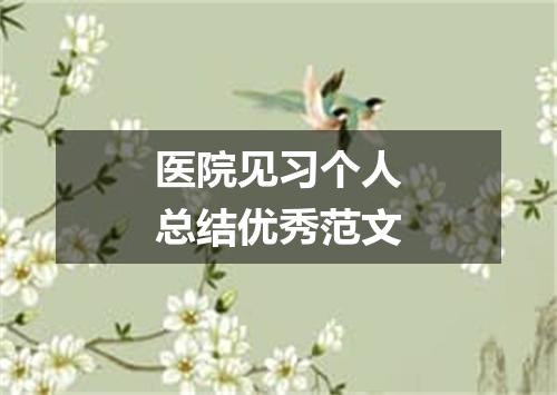 医院见习个人总结优秀范文
