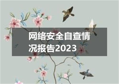 网络安全自查情况报告2023