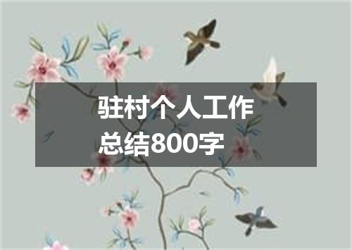 驻村个人工作总结800字