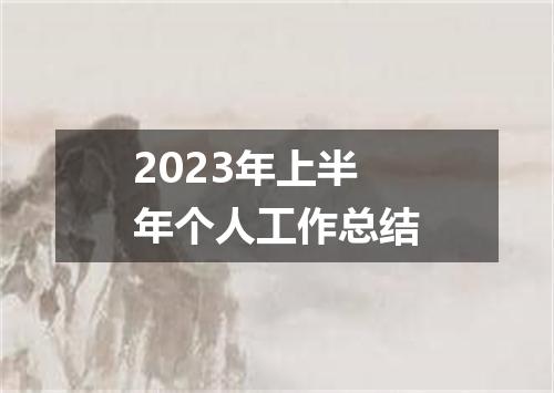2023年上半年个人工作总结