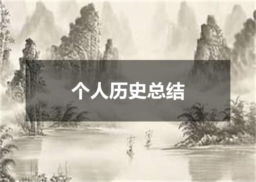 个人历史总结