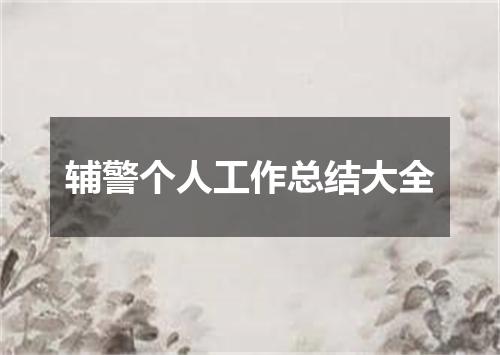 辅警个人工作总结大全