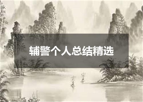 辅警个人总结精选