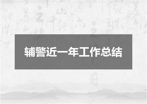 辅警近一年工作总结