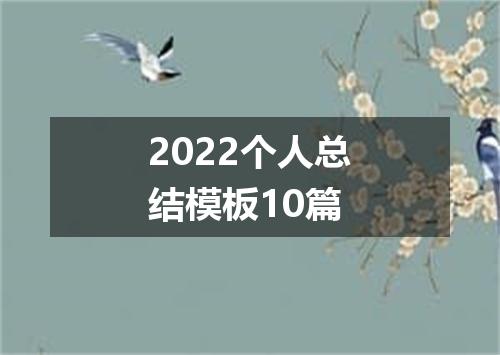 2022个人总结模板10篇