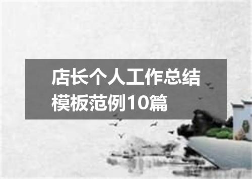 店长个人工作总结模板范例10篇