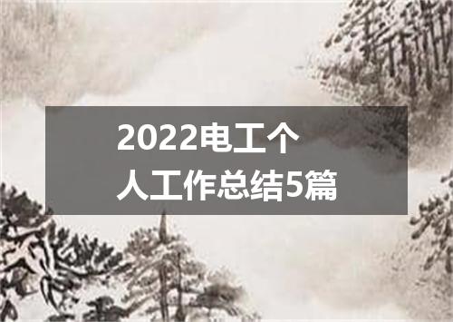 2022电工个人工作总结5篇