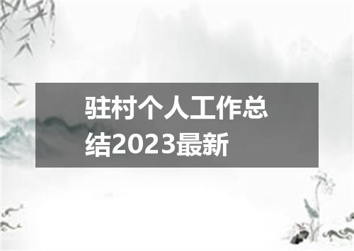驻村个人工作总结2023最新