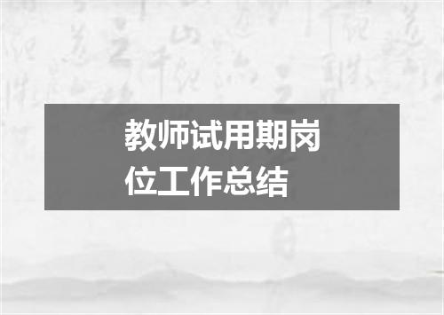 教师试用期岗位工作总结