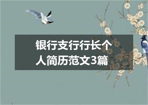 银行支行行长个人简历范文3篇