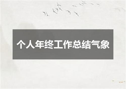 个人年终工作总结气象