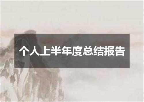个人上半年度总结报告