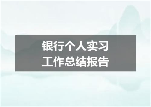 银行个人实习工作总结报告