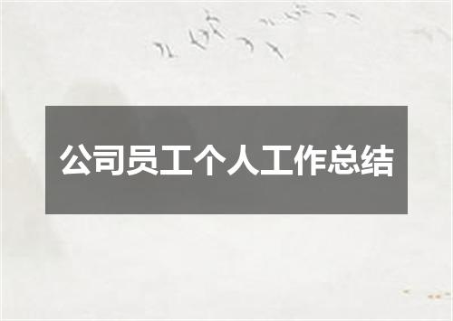 公司员工个人工作总结