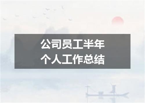 公司员工半年个人工作总结