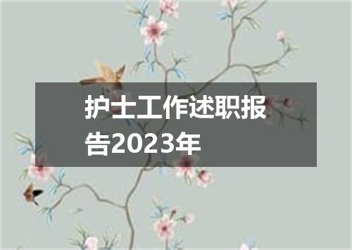 护士工作述职报告2023年
