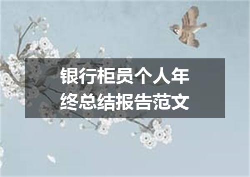 银行柜员个人年终总结报告范文