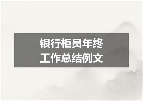银行柜员年终工作总结例文