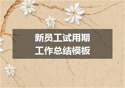新员工试用期工作总结模板