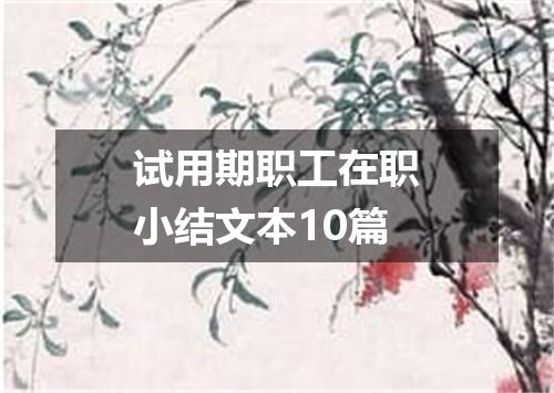 试用期职工在职小结文本10篇