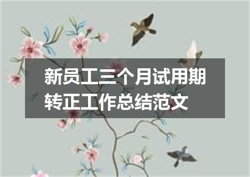 新员工三个月试用期转正工作总结范文