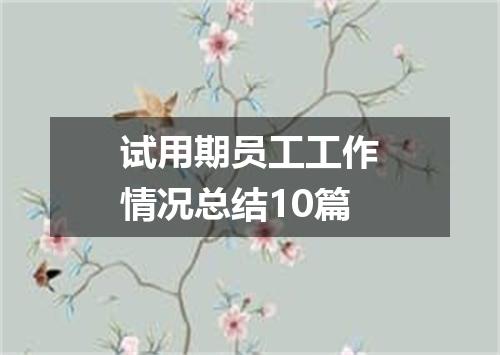 试用期员工工作情况总结10篇