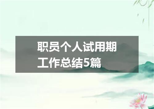 职员个人试用期工作总结5篇