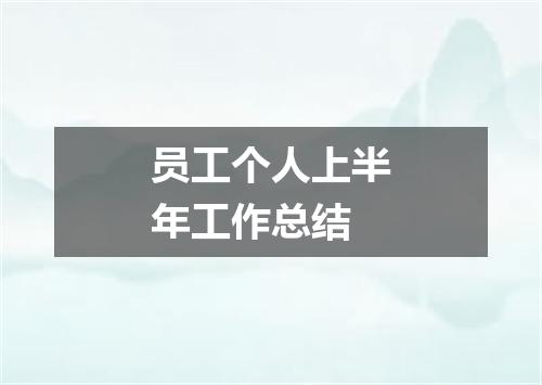 员工个人上半年工作总结